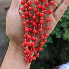 Om Shakthi Maalai 108 Beads