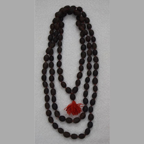 Thamarai Vithai Maalai