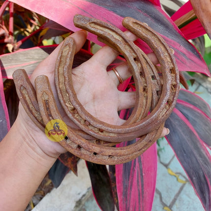 Horse Shoe Magnet - Kuthirai laadam