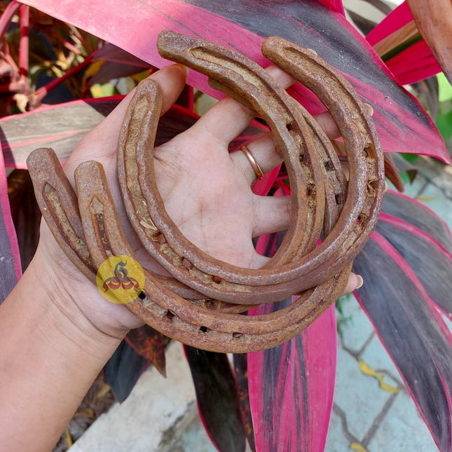 Horse Shoe Magnet - Kuthirai laadam