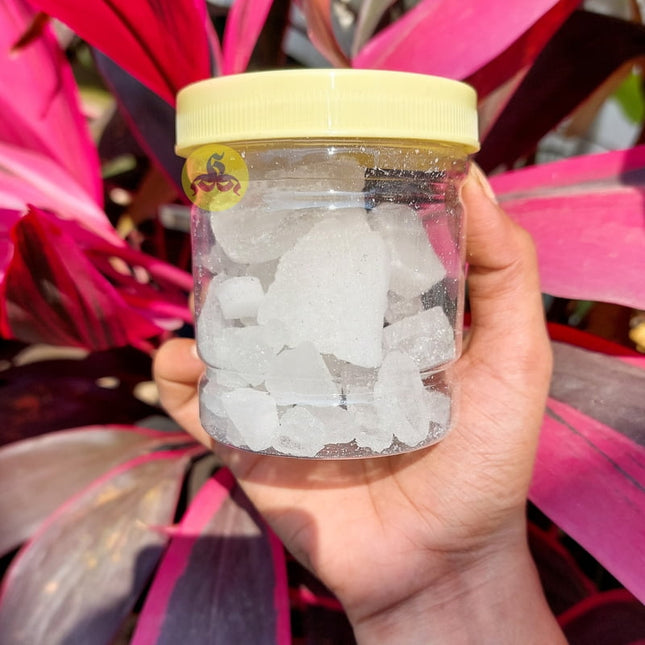 Pachai Karpooram / Green Camphor