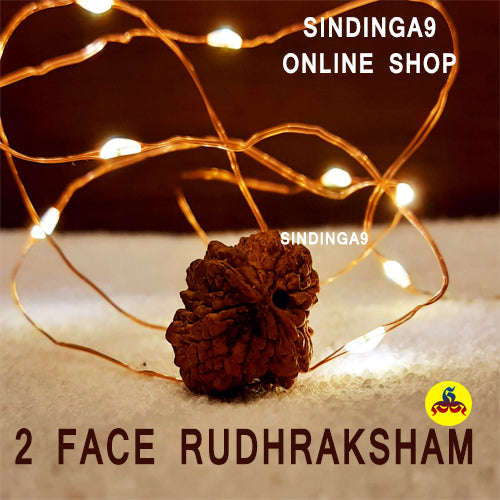 Rudraksha - All faces / Rudhraksha kottai