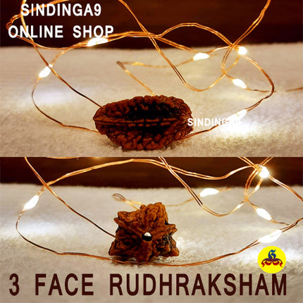 Rudraksha - All faces / Rudhraksha kottai