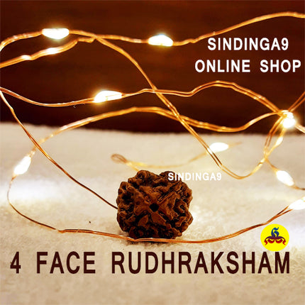 Rudraksha - All faces / Rudhraksha kottai
