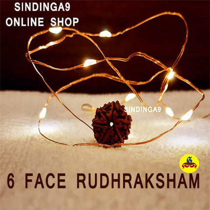 Rudraksha - All faces / Rudhraksha kottai