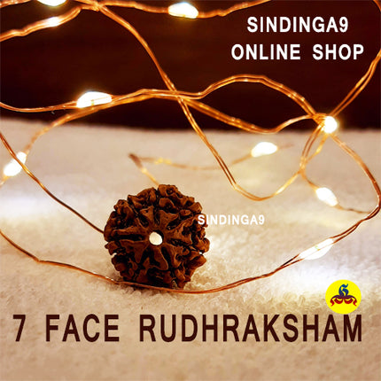 Rudraksha - All faces / Rudhraksha kottai