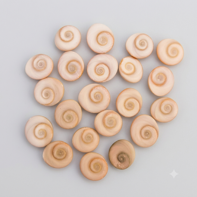 Shivoham Gomati Chakra - 21 nos