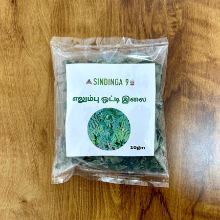 Elumbu Otti Ilai / Bone Joint Leaves - 10 g
