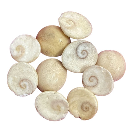 Gomathi chakram small 10 Nos