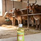 Goumutra / Cow Urine / பசு கோமியம் - 200 ML