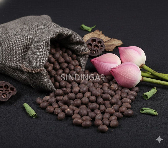 Lotus Seed