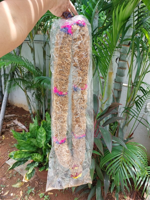 Vetiver garland 3 feet Vetiver garland 3 feet