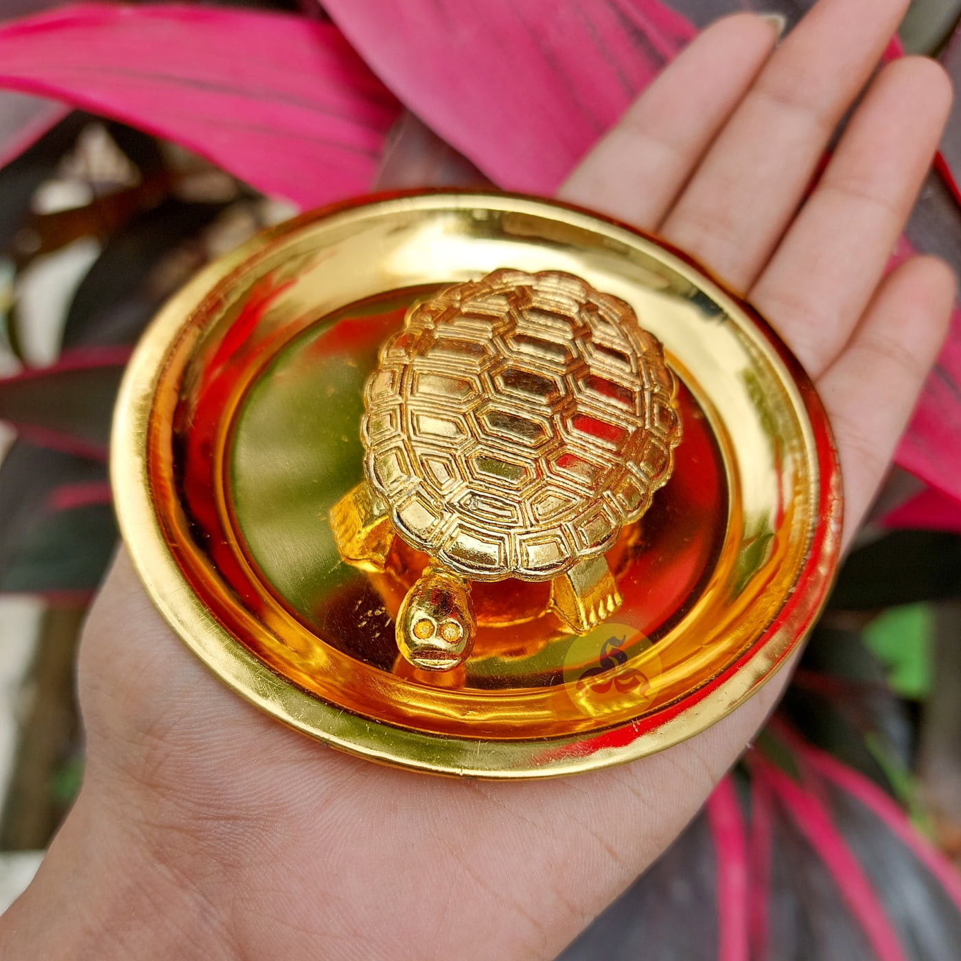 Vastu Aamai tortoise buy online for positivity - Sindinga9