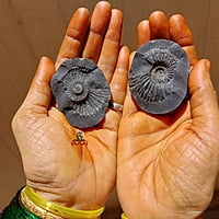 Salagrama kall Salagrama kall