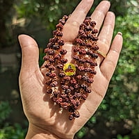 Rudraksha poo maalai Rudraksha poo maalai