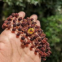 Rudraksha poo maalai Rudraksha poo maalai