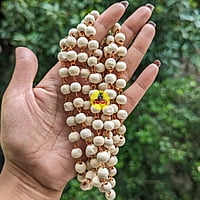 Tulsi mala / துளசி மாலை 108 Beads Tulsi mala / துளசி மாலை 108 Beads