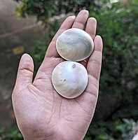 Komathi Chakram Komathi Chakram